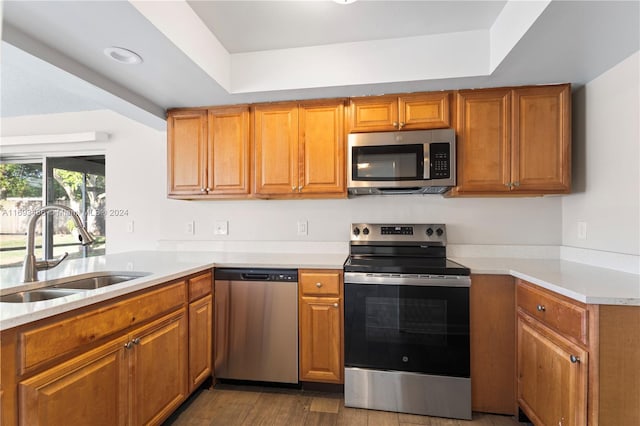 kitchen featuring sink, stainless steel appliances, a tray ceiling, and dark wood-type flooring