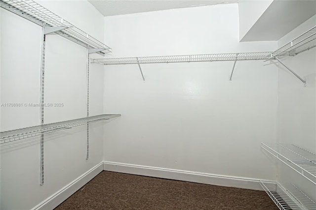 spacious closet with dark colored carpet