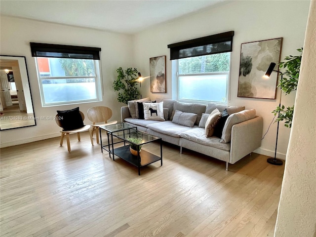 living room featuring light wood-type flooring and a wealth of natural light