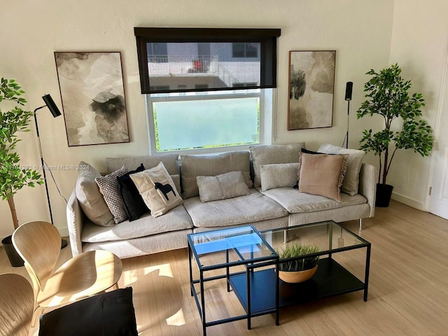 living room featuring wood-type flooring