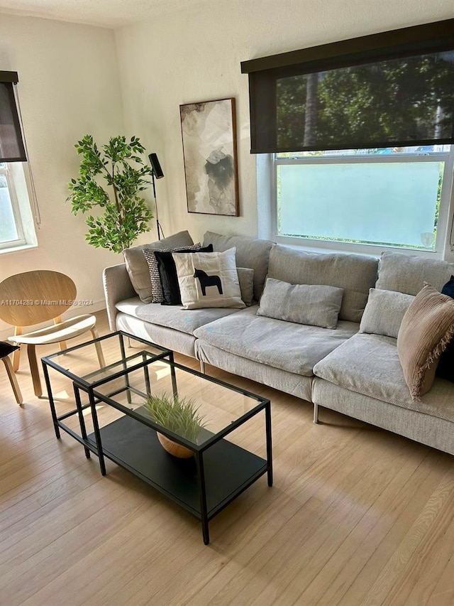 living room featuring a wealth of natural light, a textured ceiling, and light wood-type flooring