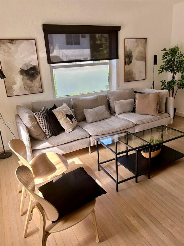 living room featuring light hardwood / wood-style flooring