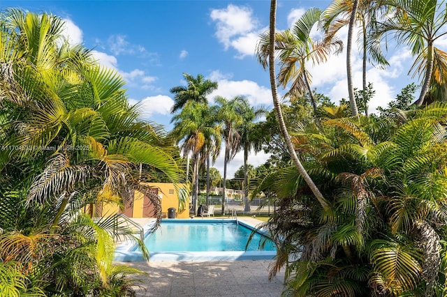 view of swimming pool