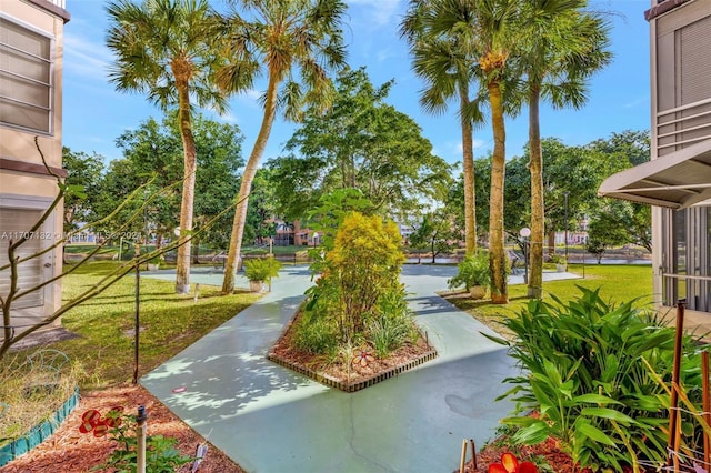 view of home's community with a yard