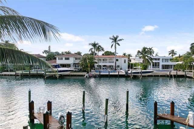 dock area with a water view