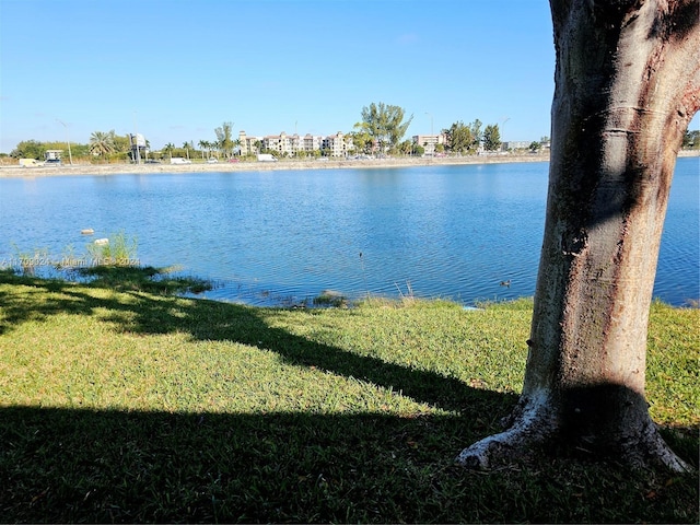 property view of water