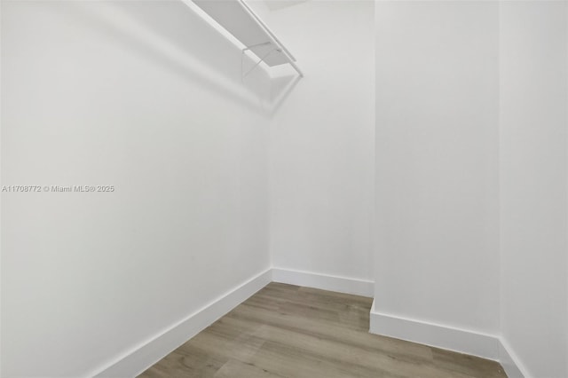524 NW 7th Ct, Boynton Beach, FL 33426 - walk in closet with light wood-type flooring