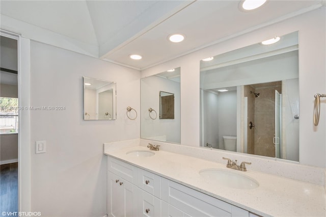 bathroom with a shower with door, vanity, wood-type flooring, and toilet