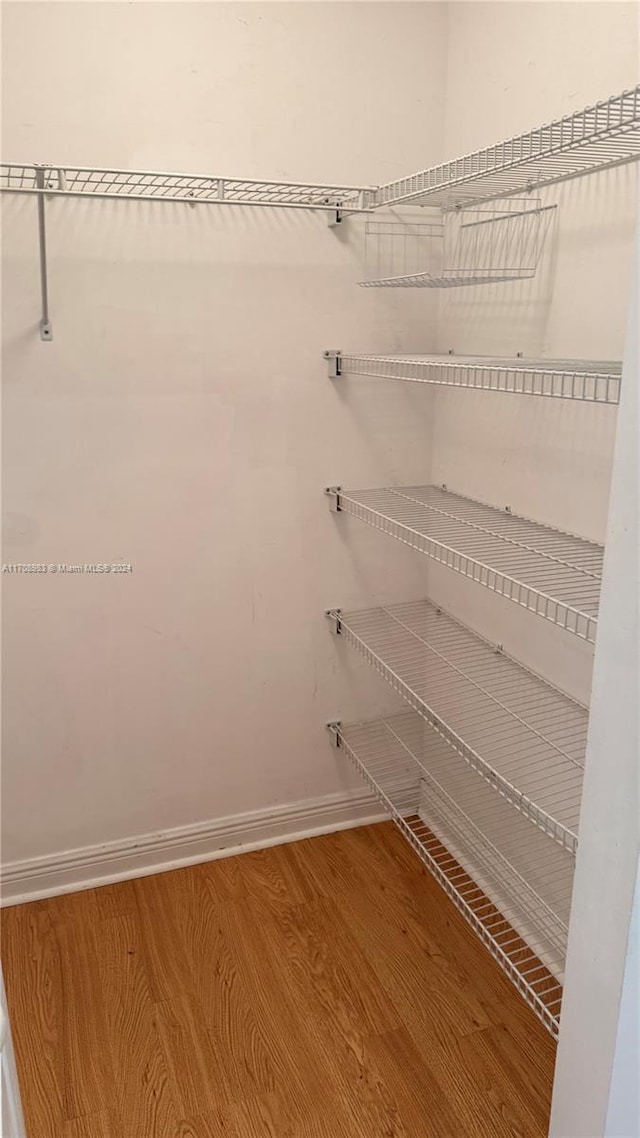 walk in closet featuring wood-type flooring