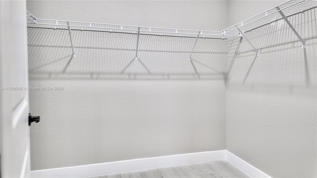 spacious closet with wood-type flooring