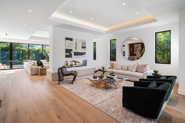 living room featuring a healthy amount of sunlight, light wood-type flooring, and a tray ceiling