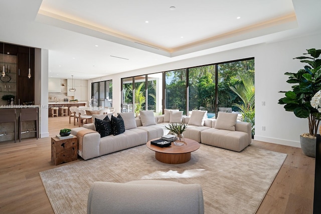 living room featuring a tray ceiling and light hardwood / wood-style floors