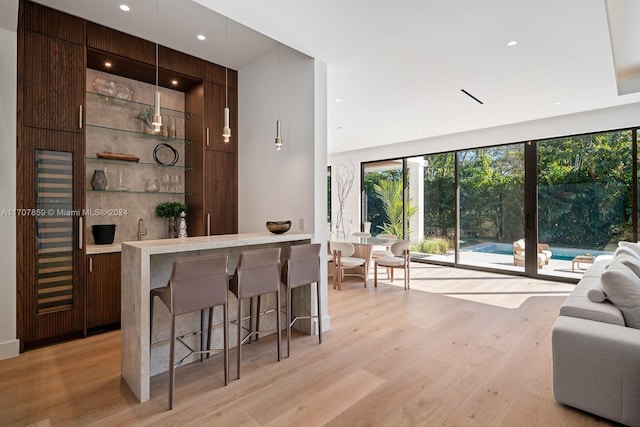 bar with dark brown cabinets and light hardwood / wood-style floors