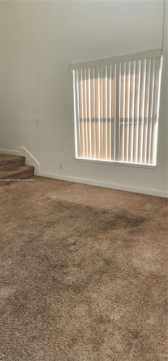 carpeted spare room featuring a healthy amount of sunlight