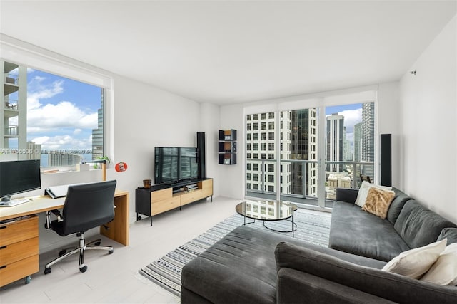 living room featuring a wealth of natural light