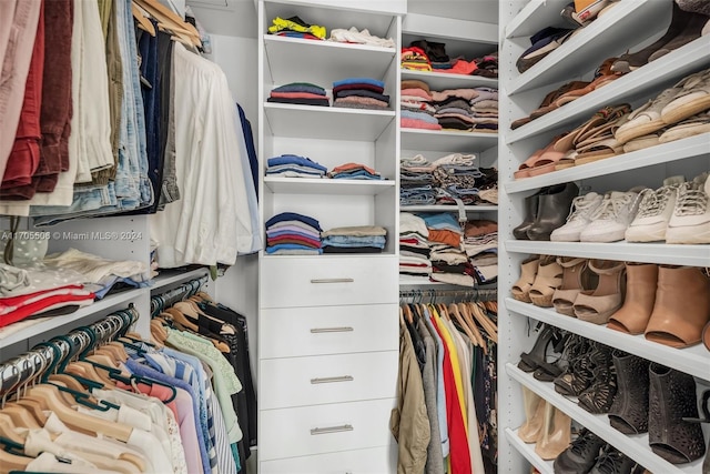 view of walk in closet