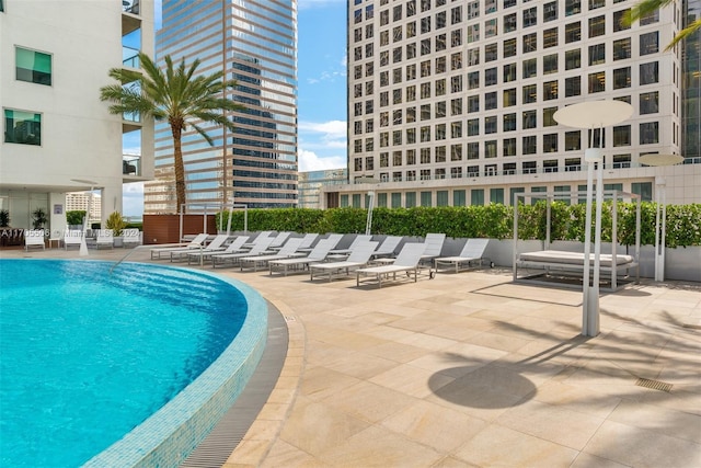 view of swimming pool featuring a patio area