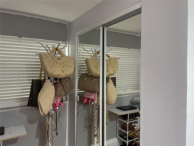 view of closet