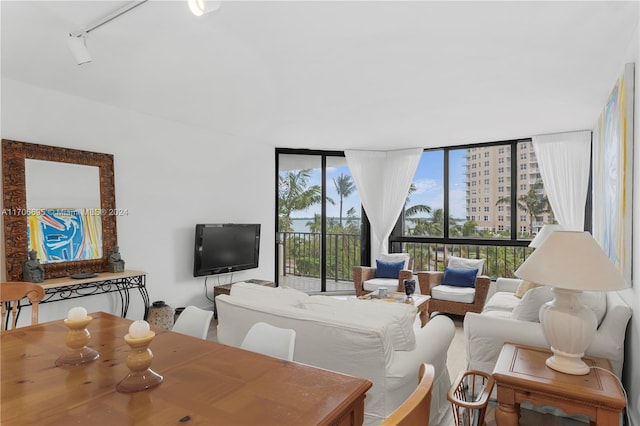 living room featuring plenty of natural light, floor to ceiling windows, and rail lighting