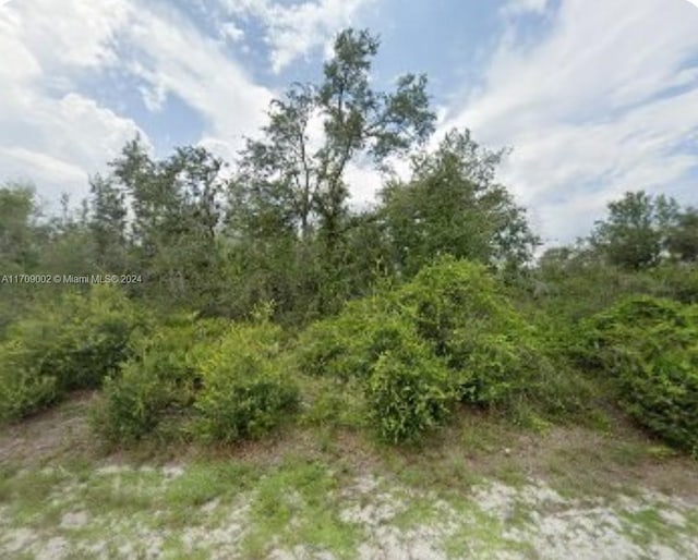 151 Richlawn Ave, Punta Gorda FL, 33982 land for sale