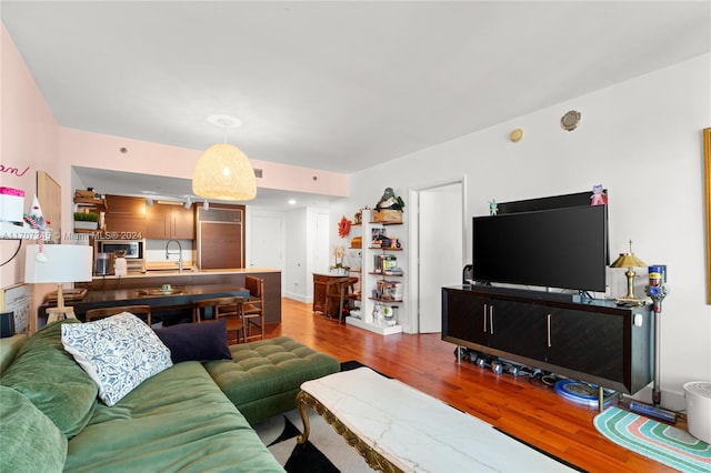 living room featuring hardwood / wood-style floors and sink