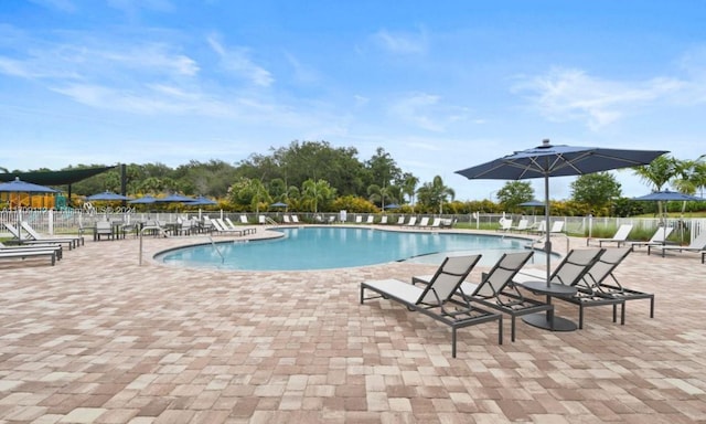 view of pool featuring a patio area