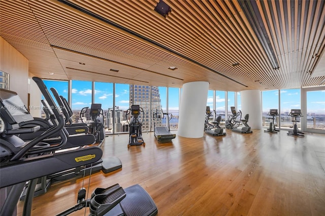 workout area featuring a wall of windows and wood-type flooring