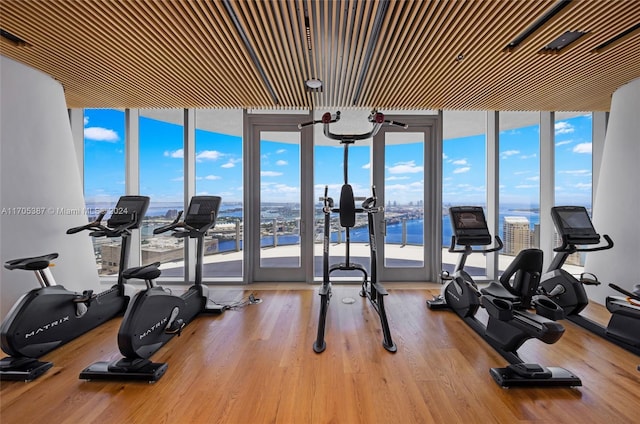 gym featuring light wood-type flooring, a water view, and a wall of windows