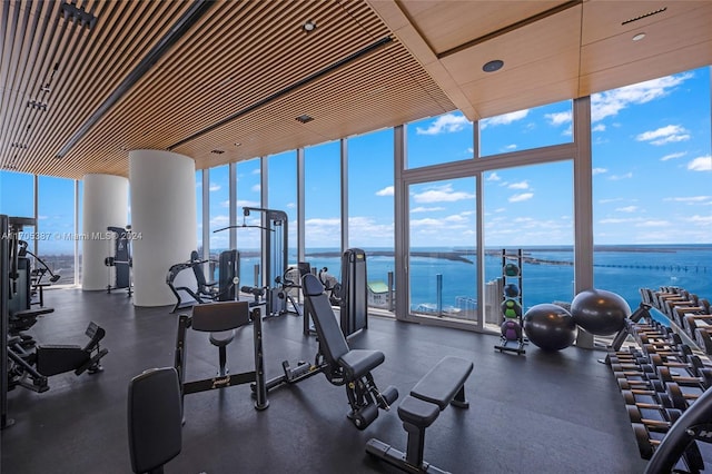 gym featuring a water view, expansive windows, and a healthy amount of sunlight