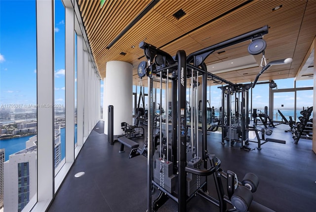 workout area featuring a water view and a wall of windows