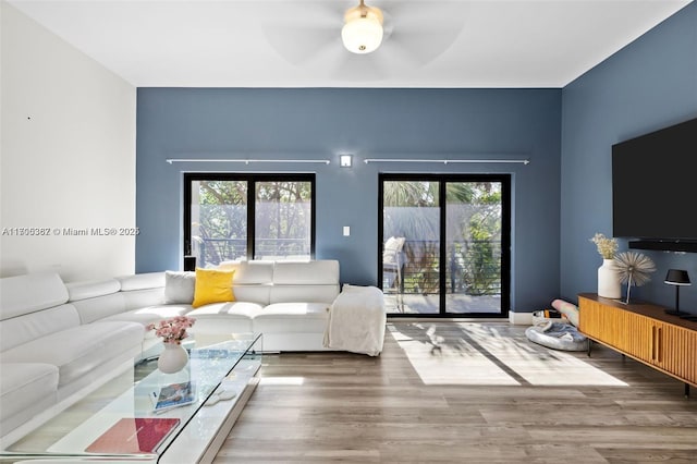 living room with ceiling fan and hardwood / wood-style floors