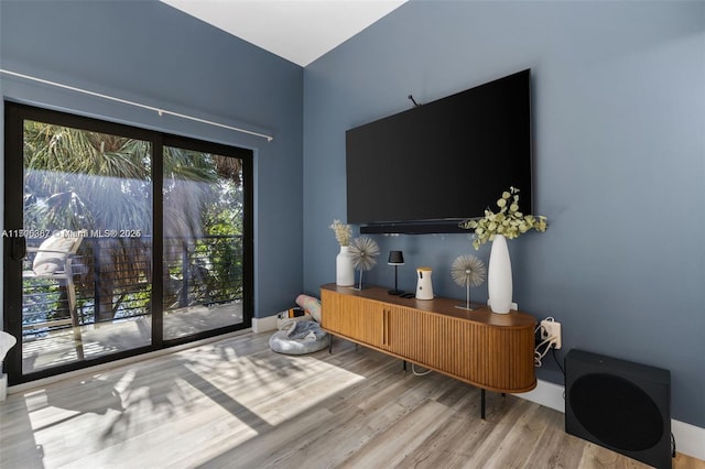 living room featuring wood-type flooring