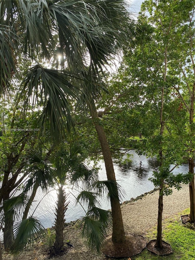 view of water feature