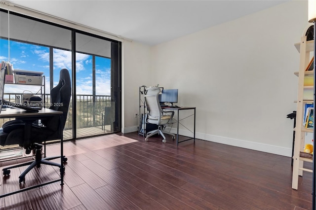 office with floor to ceiling windows, baseboards, and wood finished floors