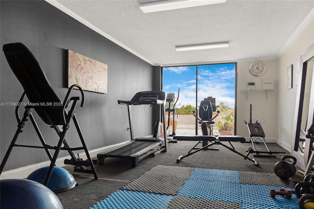 exercise area featuring ornamental molding, a textured ceiling, baseboards, and a wall of windows