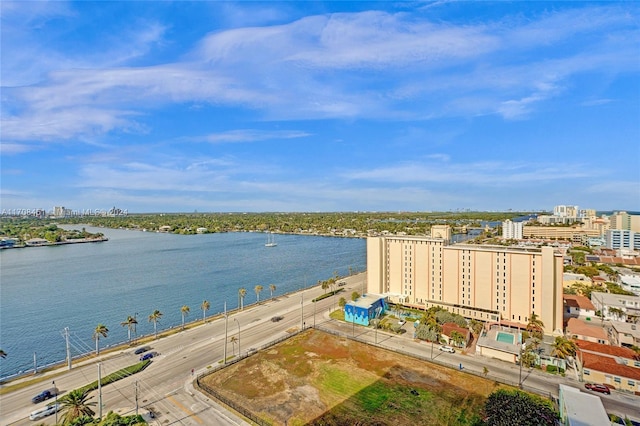 aerial view with a water view