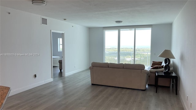 living room featuring wood-type flooring