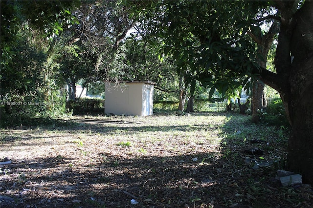 view of yard featuring a storage shed