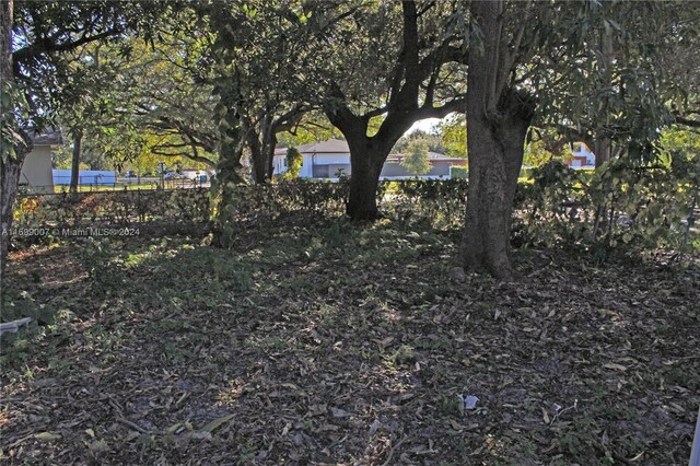 1918 NW 82nd St, Miami, FL 33147 - view of yard