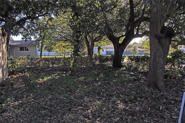 1918 NW 82nd St, Miami, FL 33147 - view of yard