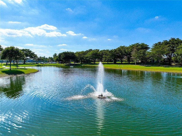 view of water feature