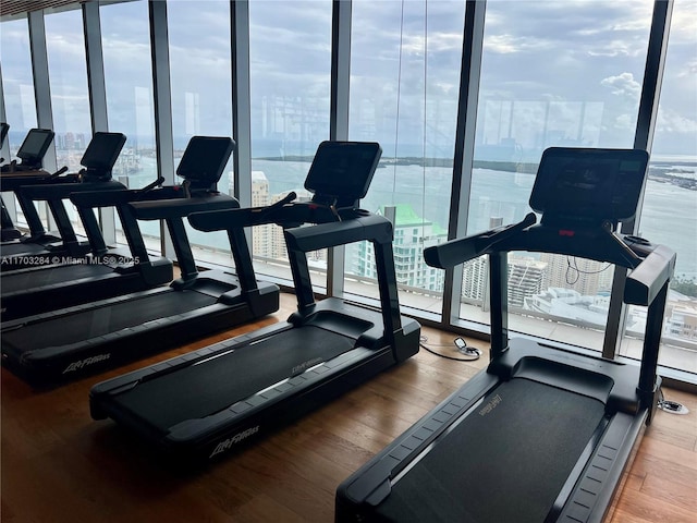 workout area featuring a water view, expansive windows, and hardwood / wood-style floors