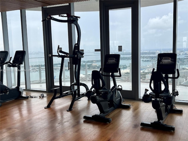 workout area with hardwood / wood-style flooring and expansive windows