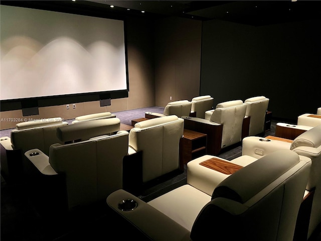 view of carpeted home theater