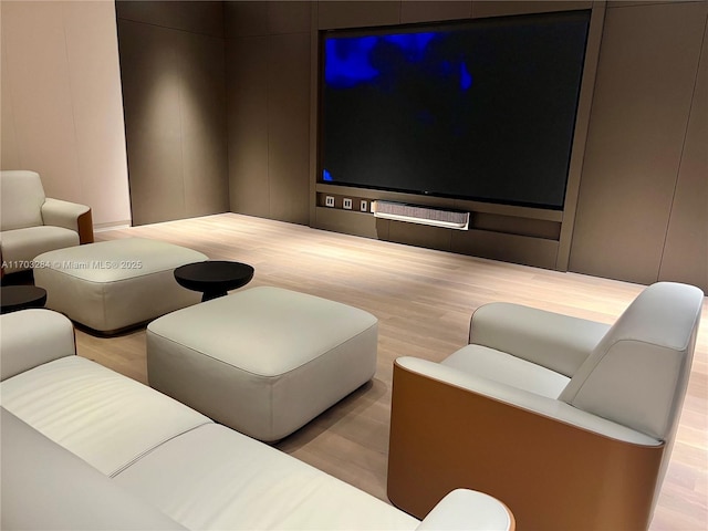 view of home theater room