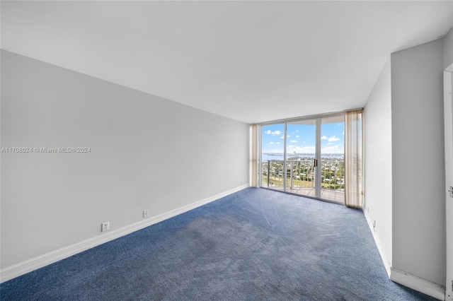 unfurnished room with carpet flooring and a wall of windows