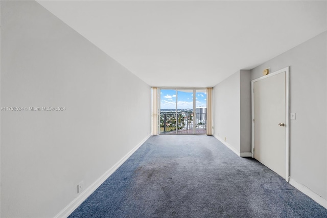 carpeted spare room with expansive windows