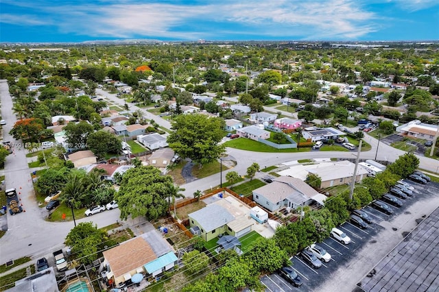 bird's eye view