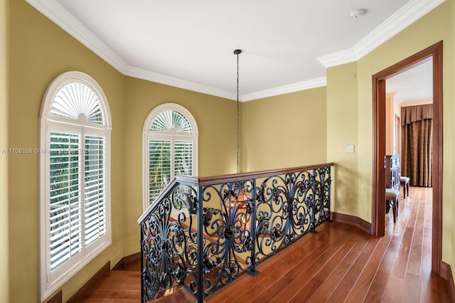 hallway featuring crown molding and dark hardwood / wood-style flooring