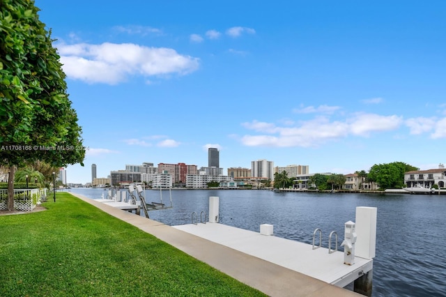 dock area featuring a yard and a water view